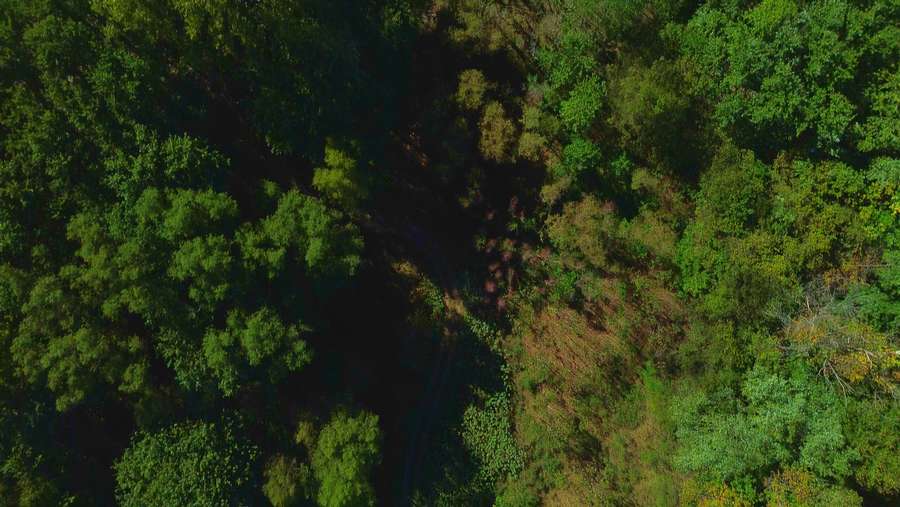 Still 2025-11-17 100017_1.52.11.jpeg